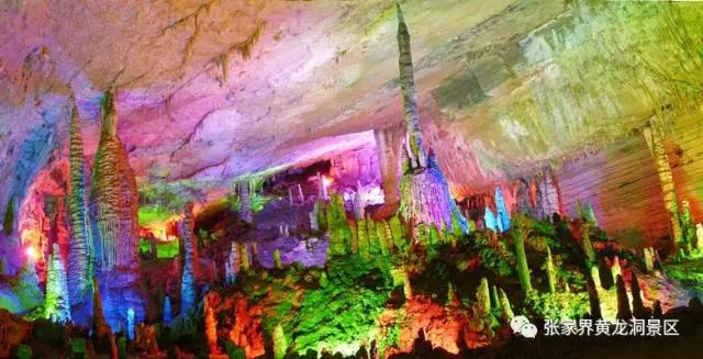 1534989210116538.jpg 微信圖片_20180823095513.jpg